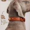 handmade dog cat Three-piece collar set