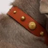 handmade dog cat Three-piece collar set